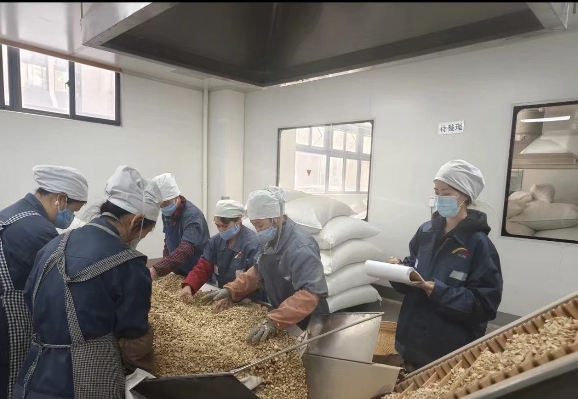 Qingdao Biohoer Biotech Co., Ltd. ha iniziato ufficialmente la costruzione