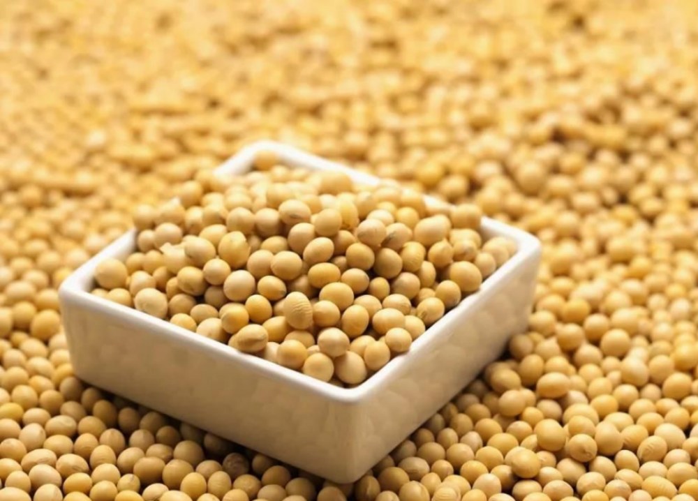 Quali sono i vantaggi degli isoflavoni di soia?