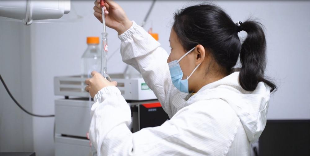 Innovare la produzione di erbe