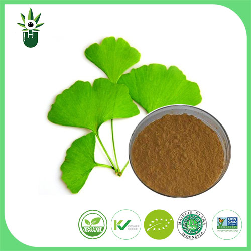 Quali sintomi può essere usato l'estratto di foglia di biloba di ginkgo per alleviare?