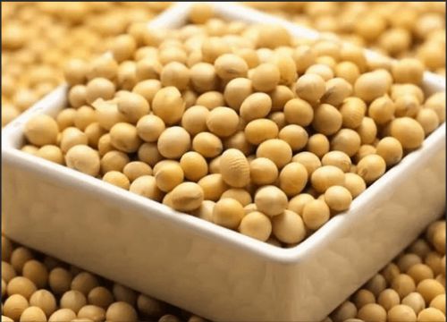 Quali sono i vantaggi degli isoflavoni di soia?