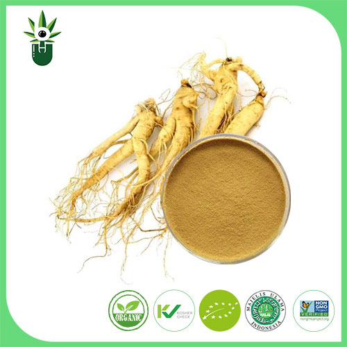 Estratto di Ginseng americano