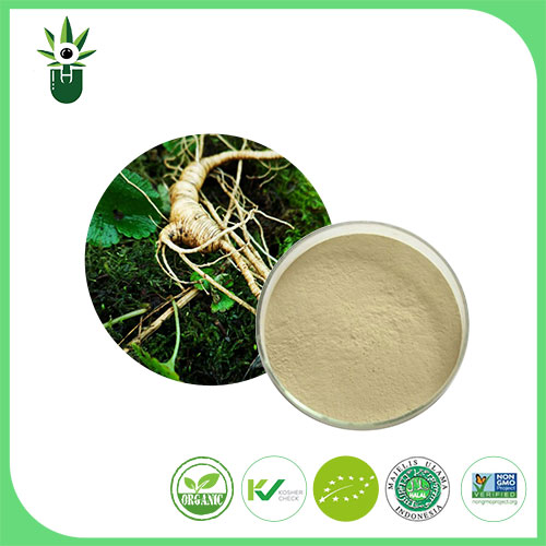 Estratto di ginseng