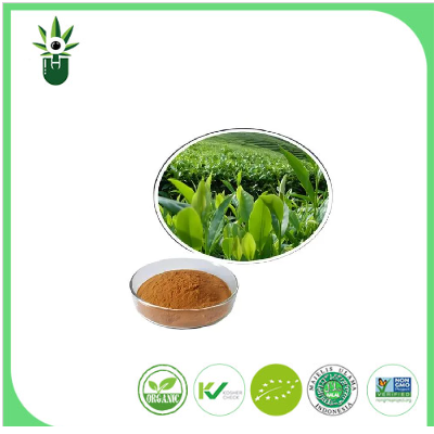 Estratto di tè verde naturale 98% L