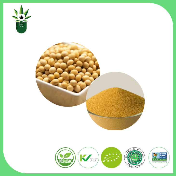 OGMO Extract Extract Powder 90% Isoflavoni di soia